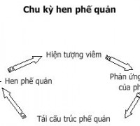 Chu-Ky-Hen-Phe-Quan-200x180.jpg
